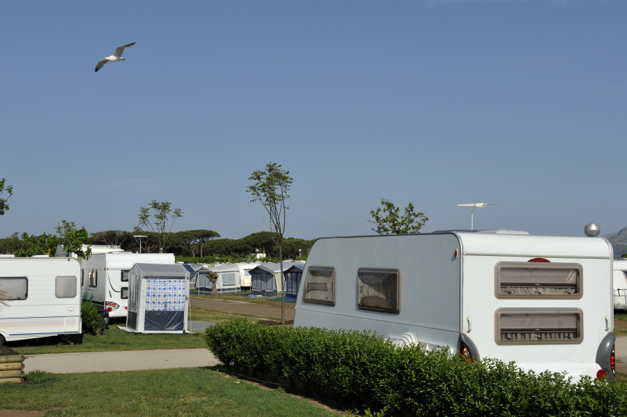 terrain de camping 